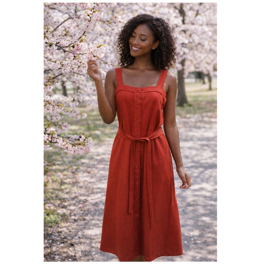 Everlane Women's Haute Red Japanese GoWeave Picnic Dress